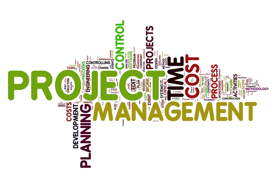 InnSoft Project Management Services